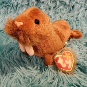 Ty Beanie Baby Paul The Walrus Retired